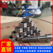 <b>防松垫圈螺母组件</b>