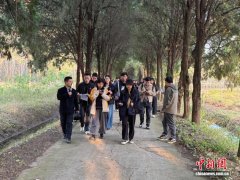 （活力中国调研行）从“占”到“补”再到“赢”：江苏泗洪“绿票”串联土地